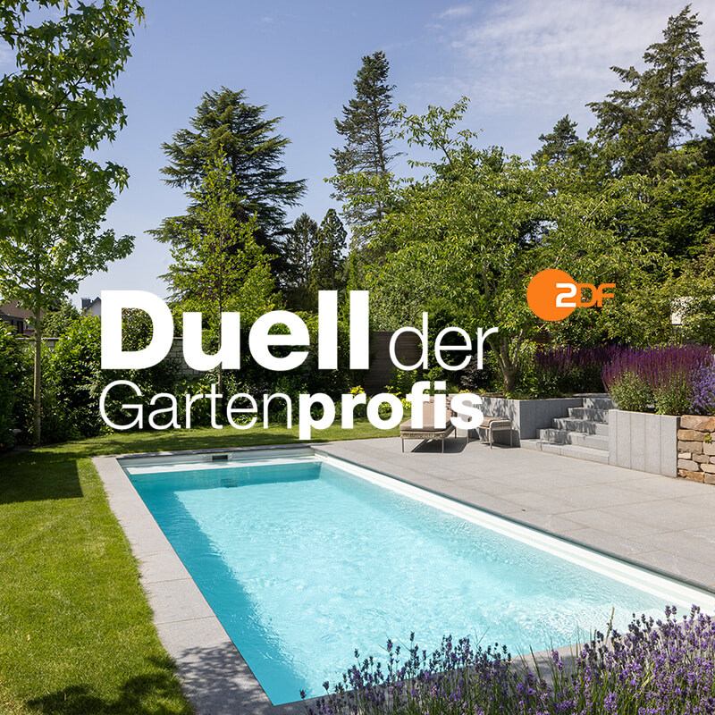 Sollazzo & Wetzel Poolbau Blog und Neuigkeiten